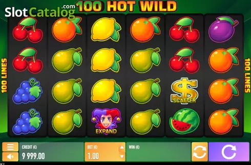 Скрин2. Hot Wild 100 слот