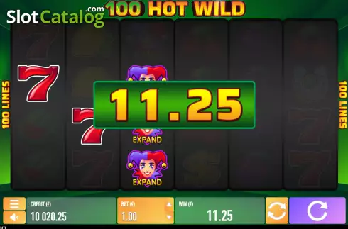 Скрин3. Hot Wild 100 слот