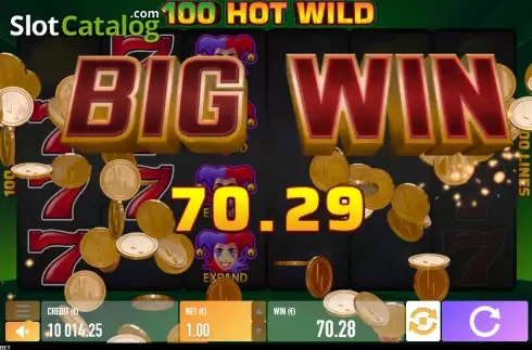 Скрин4. Hot Wild 100 слот