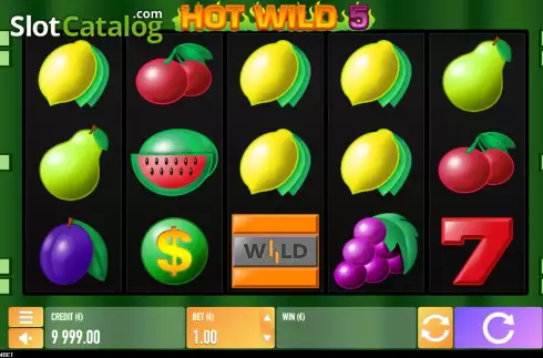 Скрин2. Hot Wild 5 слот