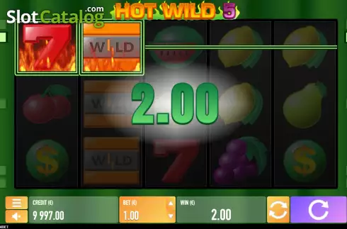 Скрин3. Hot Wild 5 слот
