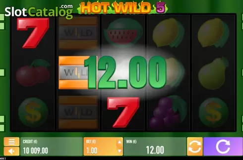 Скрин4. Hot Wild 5 слот