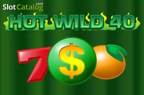 Hot Wild 40 логотип