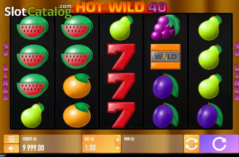 Скрин2. Hot Wild 40 слот