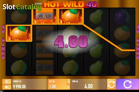 Скрин4. Hot Wild 40 слот