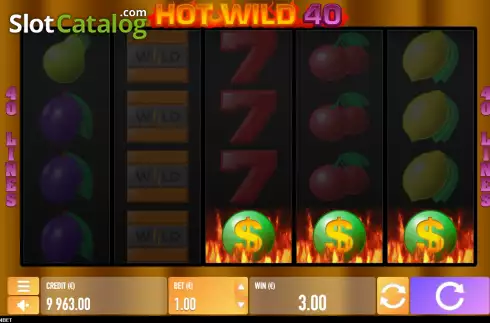 Скрин3. Hot Wild 40 слот