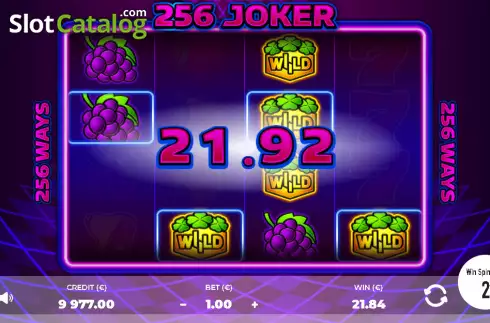 Скрин3. 256 Joker слот