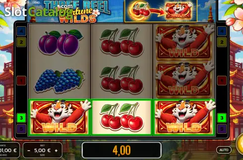 Скрин3. Three Reel Fortune Wilds слот