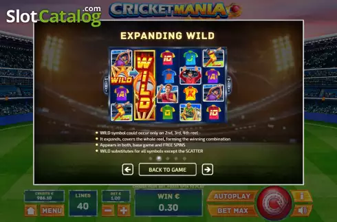 Скрин5. Cricket Mania слот