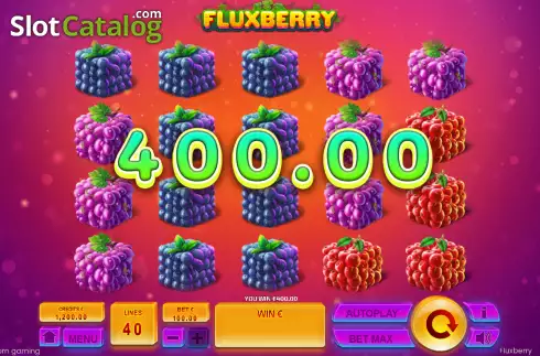 Скрин3. Fluxberry слот
