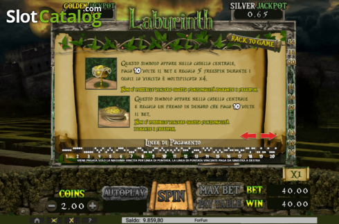 Скрин7. Labyrinth слот