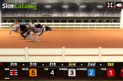 Скрин4. Greyhound Racing (Urgent Games) слот