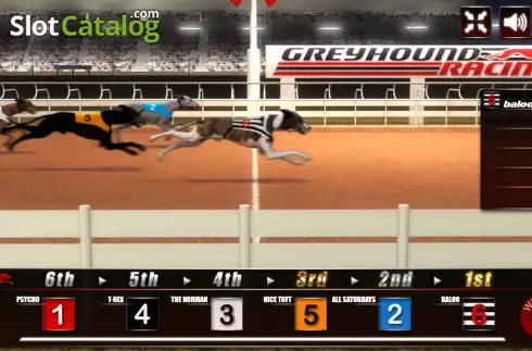 Скрин5. Greyhound Racing (Urgent Games) слот
