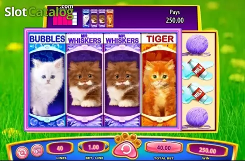 Скрин9. OMG! Kittens слот