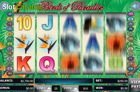Скрин6. Birds Of Paradise (Wager Gaming) слот