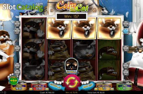 Скрин5. Colin the Cat слот