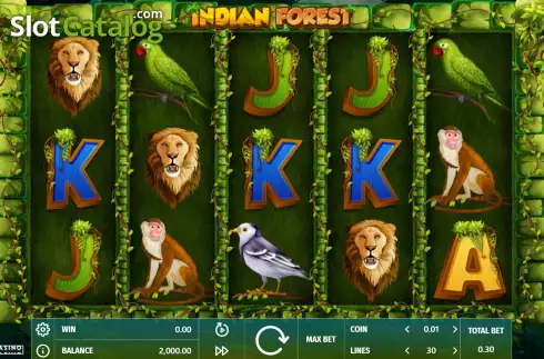Скрин3. Indian Forest слот