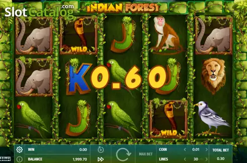 Скрин4. Indian Forest слот