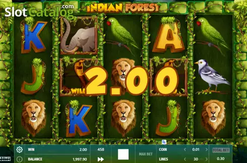 Скрин5. Indian Forest слот