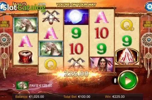 Скрин3. Wild Catcher слот