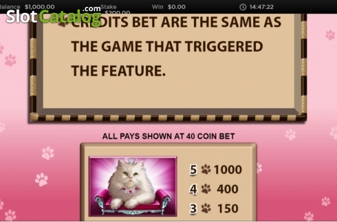 Скрин8. Candy Cats and Cash слот