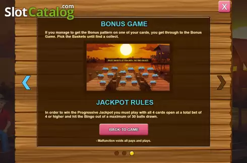 Скрин9. Bingo Ribeirinhos слот