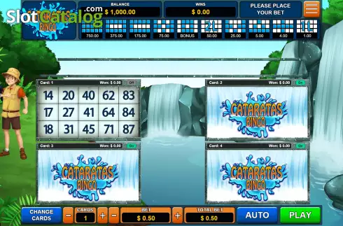 Скрин2. Cataratas Bingo слот