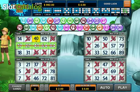 Скрин3. Cataratas Bingo слот
