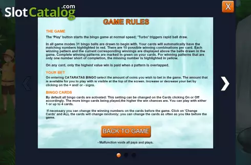 Скрин7. Cataratas Bingo слот