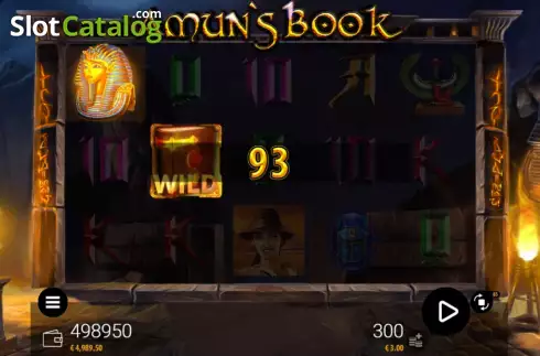 Скрин5. Amuns Book HD слот