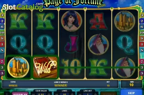 Скрин4. Page of Fortune Deluxe слот
