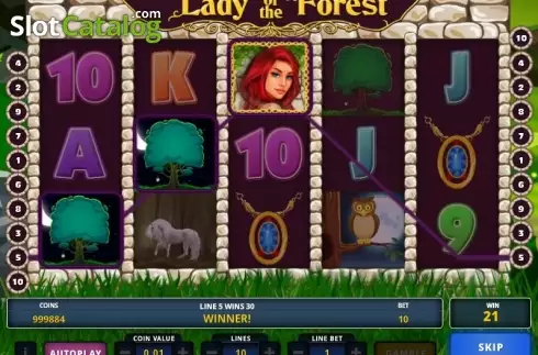 Скрин6. Lady of the Forest слот