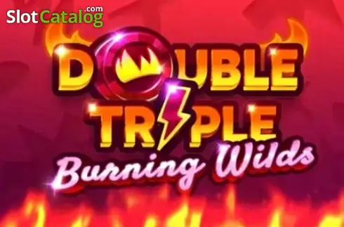 Double Triple Burning Wilds слот