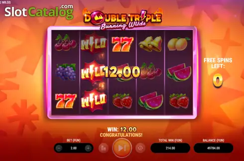 Скрин3. Double Triple Burning Wilds слот