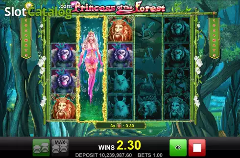 Скрин6. Princess of the Forest слот