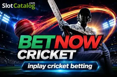 Betnow Cricket логотип Betnow Cricket логотип