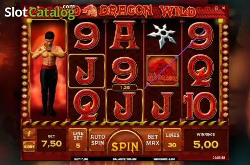 Скрин3. Red Dragon Wild слот