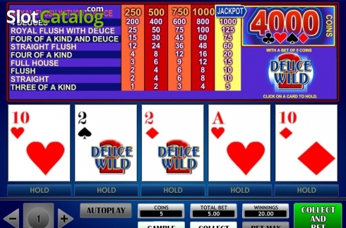 Скрин4. 2 Deuce Wild Poker слот