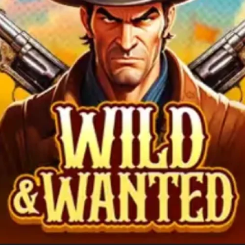 Wild & Wanted логотип